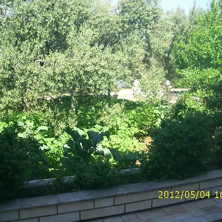 Apartment Apartments Mak *